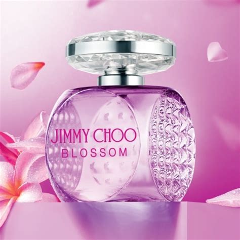 jimmy choo perfume at superdrug